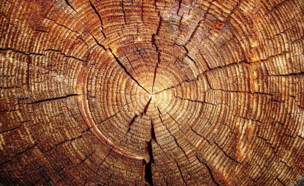 Влияние температуры на древесину